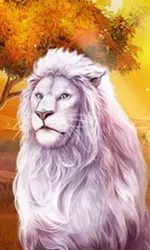 Book Of Majestic King